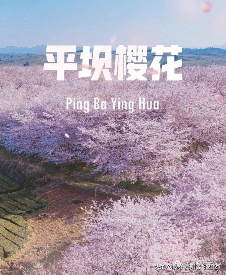 逃离撒丁岛